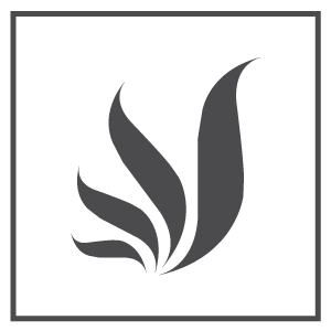 Vanism black square logo